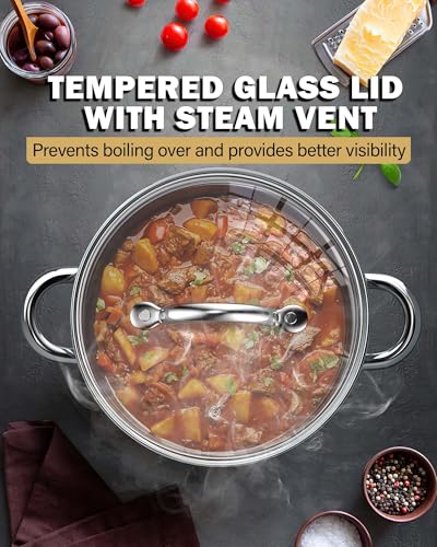 16 Quart Stainless Steel Stock Pot with Lid - Large Cooking Pot for Soup & Pasta, Silver Variation