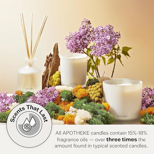 APOTHEKE Charcoal Scented Candle 10.5oz - Home Fragrance with Cedarwood & Sandalwood