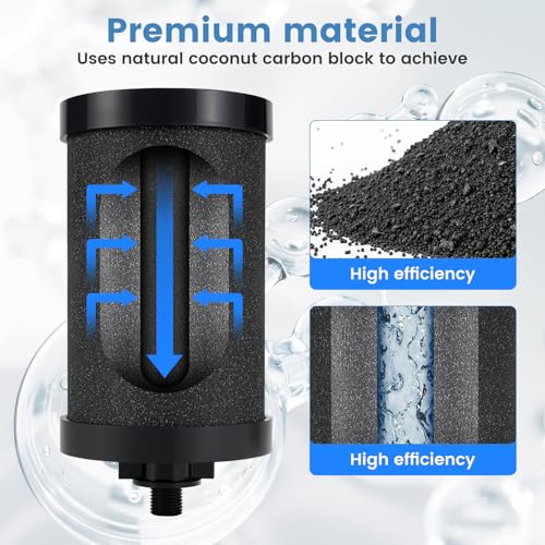 2 Pack Replacement Water Filter for Alexapure Pro System - Coconut Shell Carbon