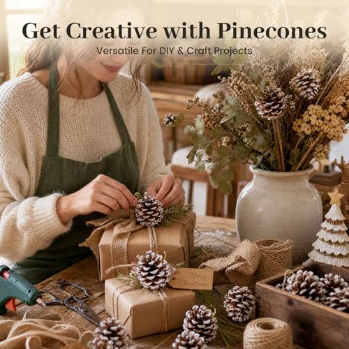 24 Pack Snow-Dusted Pine Cones for Holiday Decor, Christmas Ornaments & Crafts