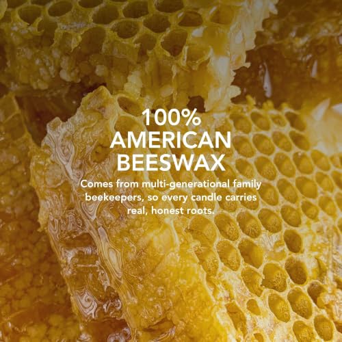 Palo Santo & Bergamot Beeswax Candle - 15 Oz, Calming, 90+ Hr Burn Time, Grounding Aromatherapy - Variation of Palo Santo 15 Oz