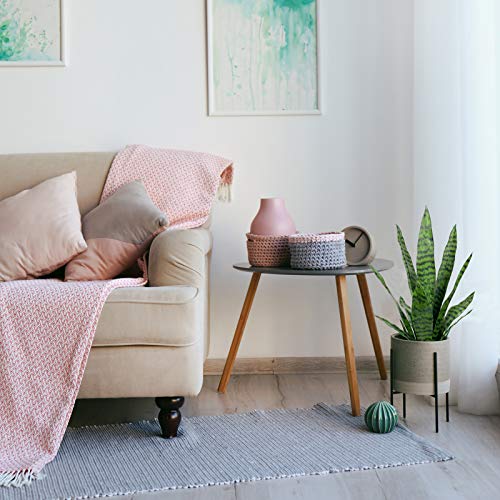 Bird Fiy Faux Snake Plant 22.5 Inches with White Pot - Artificial Indoor & Outdoor Decor