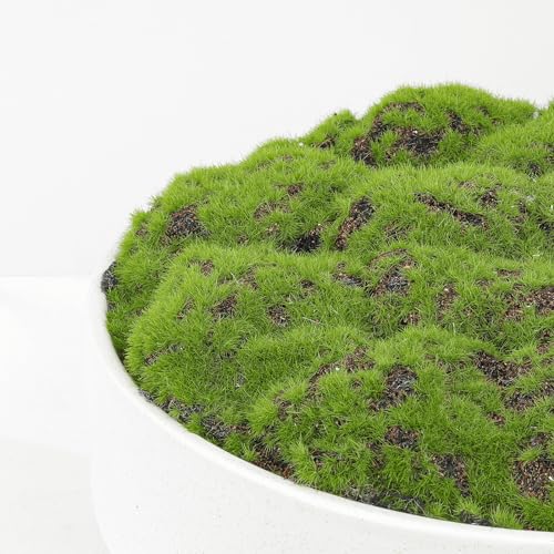 NAHARO Handmade Ceramic Moss Bowl - Black 11-Inch Artificial Plant Centerpiece