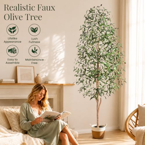 Artificial Olive Tree Indoor with Planter & Basket - 6 FT Green Variation