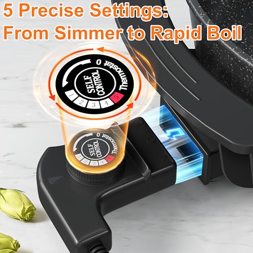 Stariver 6L Electric Hot Pot with Divider & 5-Temp Control - Black