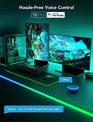 Govee RGBIC LED Neon Rope Lights, 10ft Gaming Lights for Desks