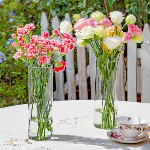 7 Pack 10 Inch Glass Cylinder Vases for Centerpieces - Clear Flower & Candle Holders