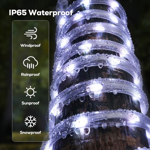 Soiarllt 100Ft Cool White LED Rope Lights Outdoor with Remote & Plug