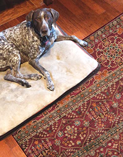 Linon Home Decor Products The Anywhere Washable Rug Yarit Garnet & Ivory 3' X 5' Accent Rug