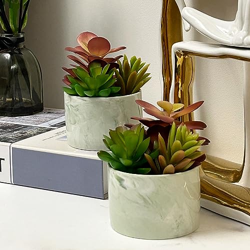 Artificial Plants Cute Colourful Succulents in Ceramic Planter Fake Plant Flowers Potted for Home Living Room Office Desk Decor Bathroom Bedroom Indoor Decoration