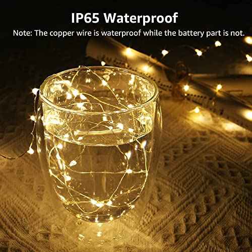 Lighting EVER Fairy Lights Battery Operated 20 LED Mini String Lights, Waterproof Small Pixie Lights for Mason Jars, Crafts, DIY Decorations, Wedding Party Centerpieces, Bedroom Christmas D?cor
