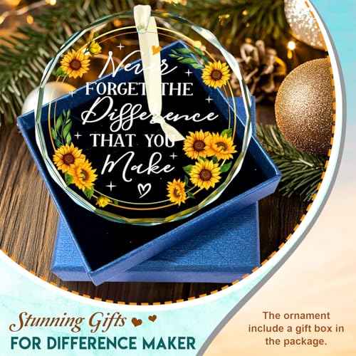 Never Forget The Difference That You Make Glass Ornament 2025 - Coworker Gifts for Women - Going Away, Farewell, Goodbye, Appreciation, Retirement Gifts for Coworkers Women, Men, Boss, Friend
