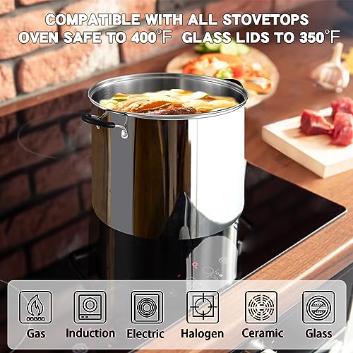 12 Quart Stainless Steel Stock Pot with Lid - Large Cooking Pot for Soup & Canning