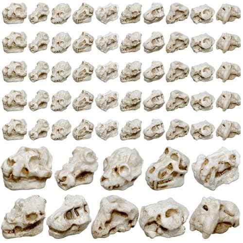 50 Pcs 0.75 in Mini Resin Animal Skull Heads Miniature Animal Skull Figurines Mini Halloween Skulls Figurine Miniature Skulls for Crafts Halloween Christmas Micro Landscape Decor