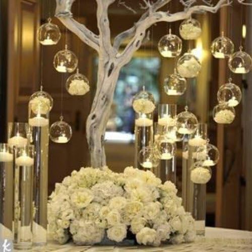 Skiennix 12 Pcs Glass Tealight Holders - 3.15" Hanging Globe Orbs for Air Plants & Candles | Indoor/Outdoor Decor