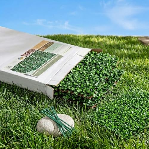 NatraHedge 20x50 Faux Privacy Grass Wall Ficus Leaf Decor - Outdoor Garden Screen