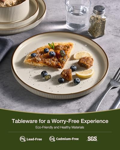 Famiware Plates and Bowls Set with Rim, Stoneware Dinnerware Sets for