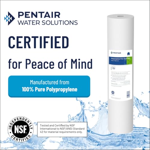 Sediment Filter Pack of 2 - 25 Micron Big Blue 20-Inch Water Filter