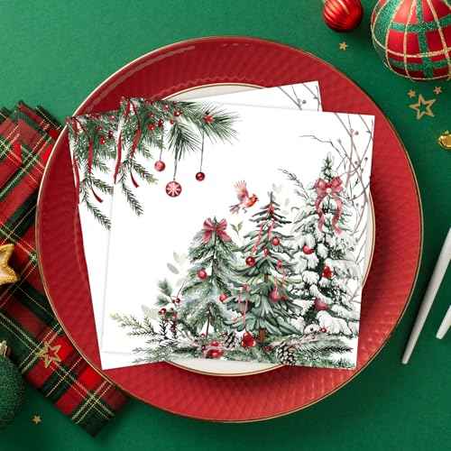 Quera 50 Pack Christmas Cocktail Beverage Napkins Disposable Paper Decorative Decorative Table Napkin for New Year Winter Dinner Merry Christmas Holiday Xmas Party Supplies
