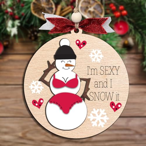 Funny Holiday Ornament 2025 ? Wooden Christmas Tree Decoration for Adults - Exchange Funny Ornaments for Adults - Naughty Ugly Christmas Tree Hanging - Unique Christmas Ornaments