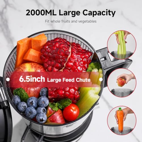 AMZCHEF Cold Press Juicer Machine with 6.5-Inch Wide Chute - Grey