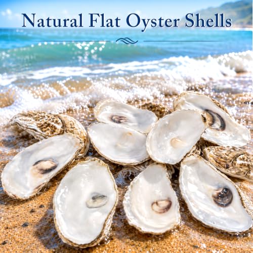 Havifira 30 Pcs Flat Oyster Shells with Holes 4"-5" Craft Ornaments with Jute Rope