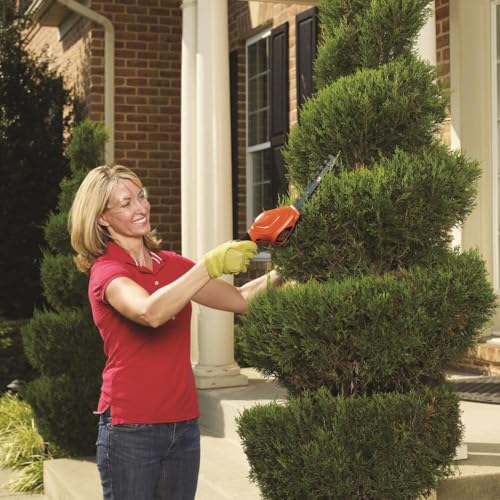 Cordless Shrub Trimmer and Grass Shear Combo - Orange, 3.6V