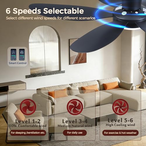 42-Inch Ceiling Fan with Lights - Black Low Profile Flush Mount Remotely Controlled