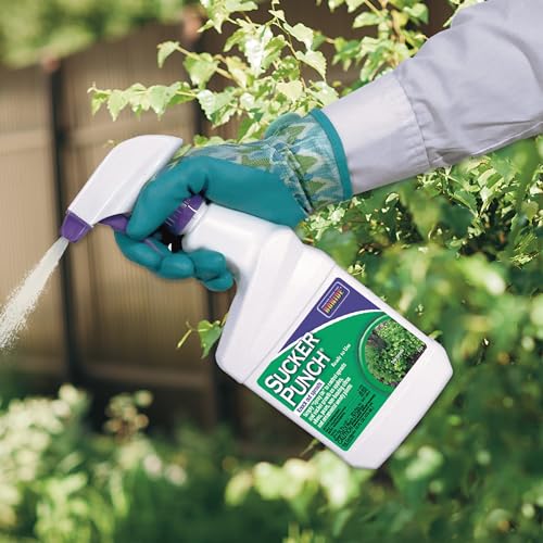 Bonide Sucker Punch Ready-to-Use Spray 16 oz | Controls Plant Suckers & Growth