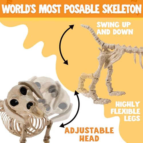 24-Inch Poseable Halloween Dog Skeleton Prop for Indoor Outdoor Decor