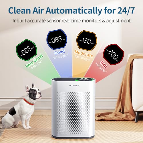 ECOSELF Large Room Air Purifier 2400 sq ft 3-Stage HEPA Auto & Sleep Mode White