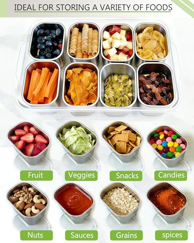 Silver Stainless Steel 8-Compartment Snackle Box Container with Lid & Handle - Large Travel Snack Tray
