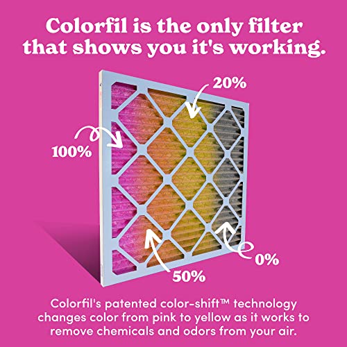 20x25x1 Air Filter 2-Pack - Pet Odor & Dust Removal - Made in USA