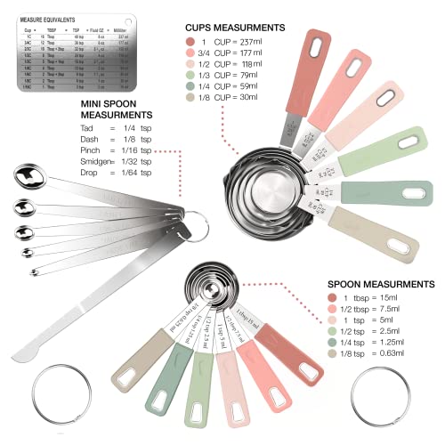 Country Chic 22-Piece Stainless Steel Measuring Cups & Spoons Set with Conversion Chart