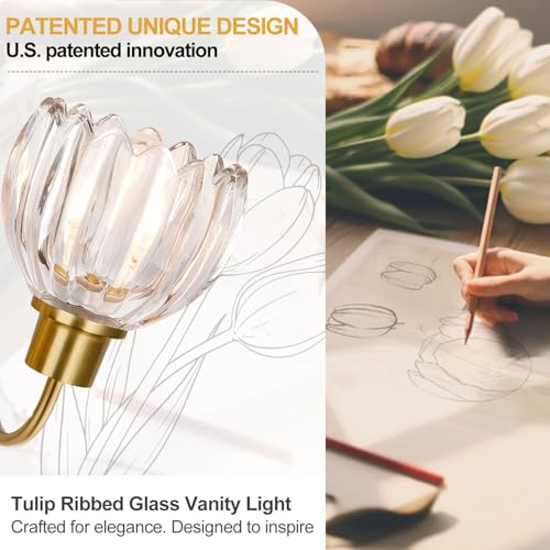 4-Light Bathroom Vanity Light Fixture - Brushed Gold with Tulip Clear Glass Shade, Over Mirror for Bathroom, Bedroom, Hallway - Variation: Brushed Gold - Tulip Clear
