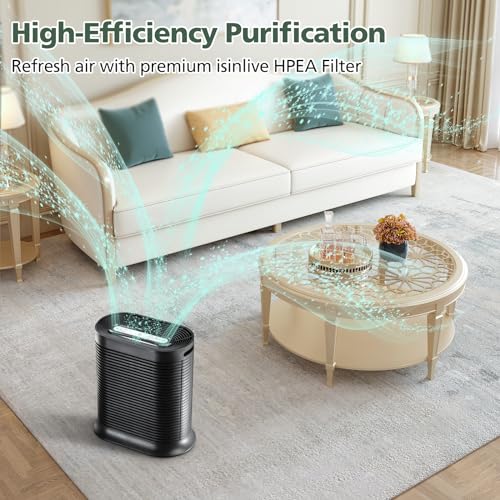 ISINLIVE 6 Pack HPA300 Filter Replacement for Honeywell Air Purifier HPA300 Series (Includes 4 Carbon & 6 HEPA Filters) - Compatible with HPA300, HPA304, HPA3300