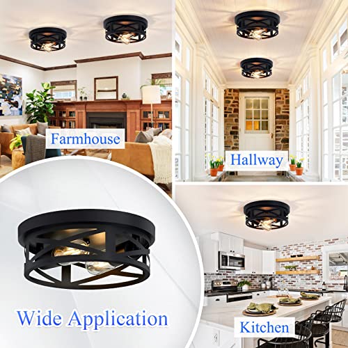 SKEJAO 10.63-inch Black 2-Light Flush Mount Ceiling Light Fixture for Farmhouse & Kitchen