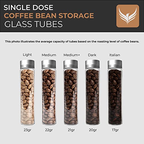 Coffee Bean Storage Tubes Set with Wooden Stand & Funnel - Airtight Glass Vials for Espresso & Filter Coffee, 10 Pieces