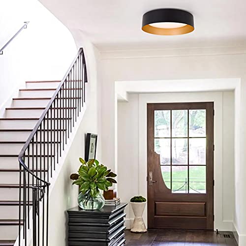 Bargeni Matte Black & Gold 12.5-Inch Flush Mount Ceiling Light - 1 Pack