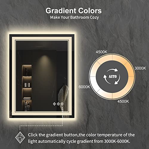 VanPokins 24x32 Inch Front & Backlit LED Bathroom Mirror with Anti-Fog, Dimmable Lights