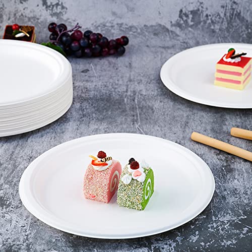 500 Pack Compostable 10.25 Inch Sugarcane Fiber Plates - White, Heavy-Duty
