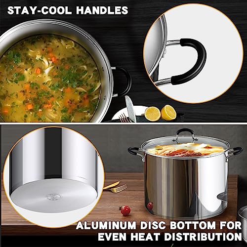 12 Quart Stainless Steel Stock Pot with Lid - Large Cooking Pot for Soup & Canning