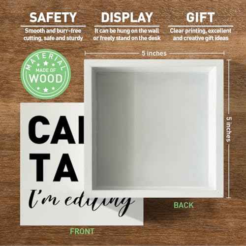 Photography Lovers Gifts for Men Women, Photographer Thank You Gift Christmas Birthday Gift for Photography Camera Lovers Photography Office Desk Decor Wooden Sign, Can't Talk