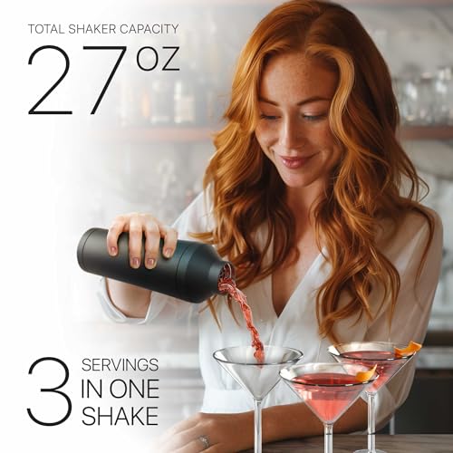 Bare Barrel Insulated Cocktail Shaker Set Matte Black - Double Wall Stainless Steel, Built-in Measure & Strainer, Travel Bag, Recipes, Gift