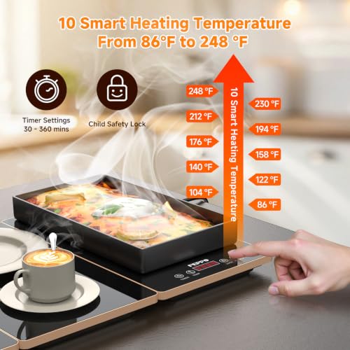 FEPPO Black & Gold 4-in-1 Electric Warming Tray for Buffet Parties