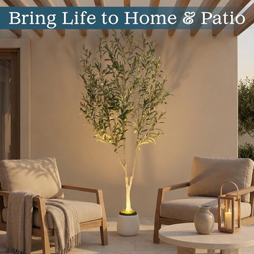 6ft Artificial Olive Tree with LED Light & White Pot - Wired USB Version