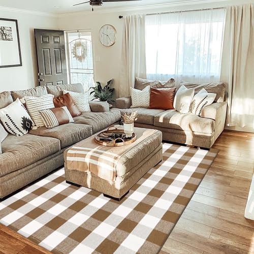 4' x 6' Buffalo Plaid Outdoor Rug - Brown & White Checkered Farmhouse Mat