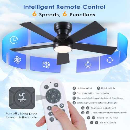 Black Ceiling Fans with Lights - 46" Flush Mount Fan Remote and 5