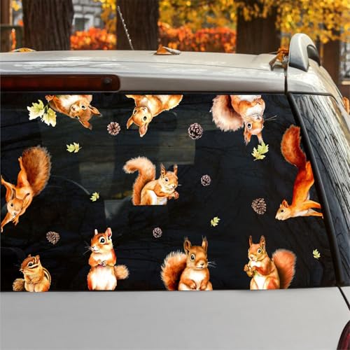 Double Sided Squirrel Window Stickers Squirrel Window Clings Autumn Fall Animal Wall Decals Woodland Animals Wall Stickers Cute Squirrels Wall Decals for Nursery Kids Bedroom Playroom Decor