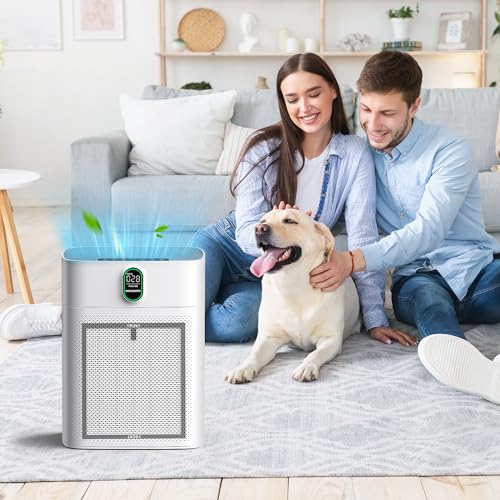 CHIVALZ 4 Pack HEPA Replacement Filters for HY4866 Air Purifier - Original Version